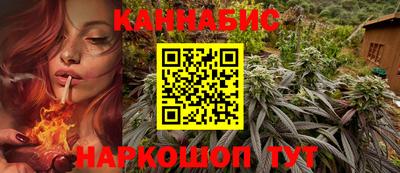 прущие грибы Рязань