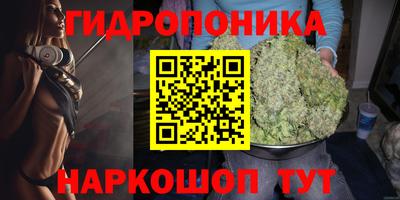 ECSTASY Рыбинск