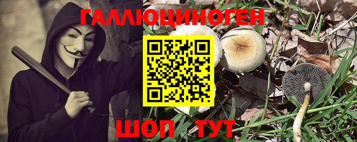 Галлюциногенные грибы Psilocybine cubensis  Вход с VPN  Подольск 